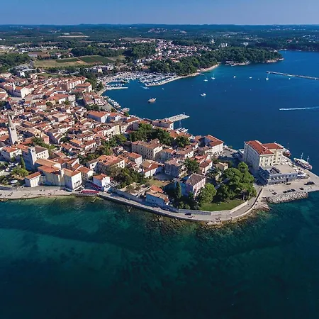 Pet Friendly In Novigrad With House Sea View
