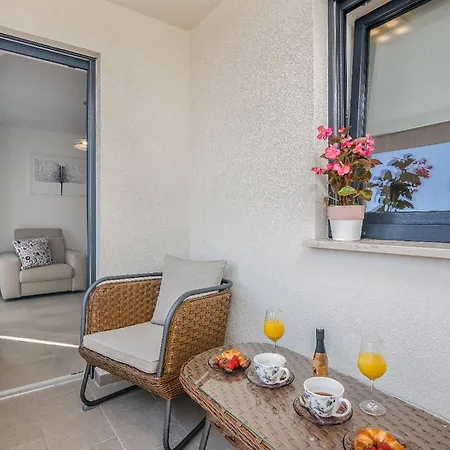 Pet Friendly In Novigrad With House Sea View