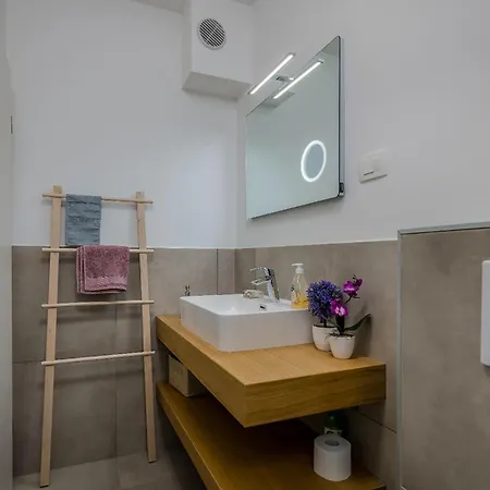 Pet Friendly In Novigrad With House Sea View Novigrad Istria