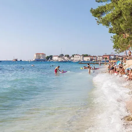 Pet Friendly In Novigrad With House Sea View Novigrad Istria